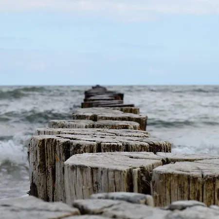 Ferienhaus Sturmmowe Zingst