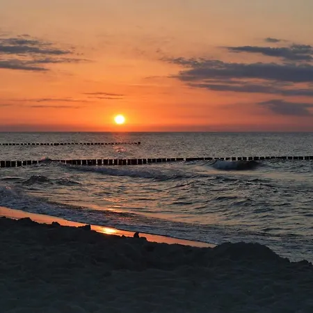 Ferienhaus Sturmmowe * Zingst